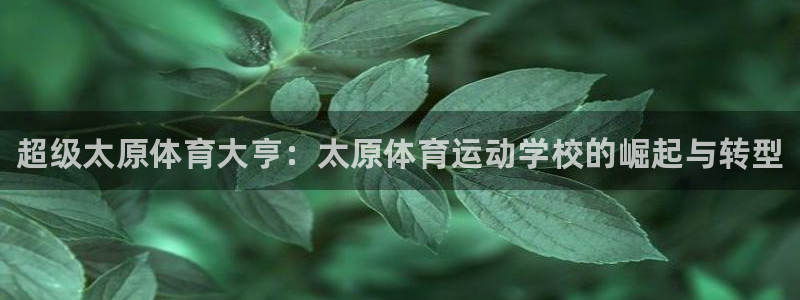 欧亿体育官方正版app集团logo：超级太原体育大亨