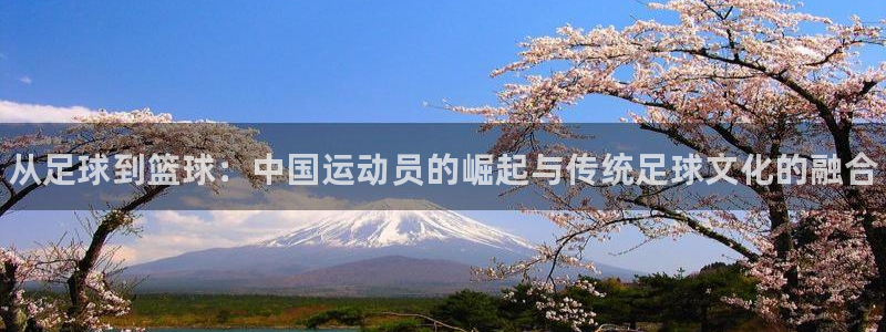 oety欧亿体育官网下载招商电话号码是多少：从足球到