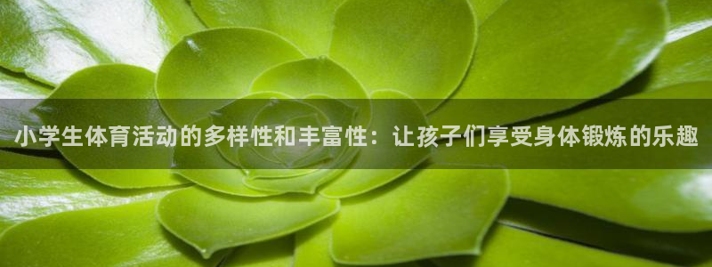 欧亿体育官方正版app官方：小学生体育活动的多样性和