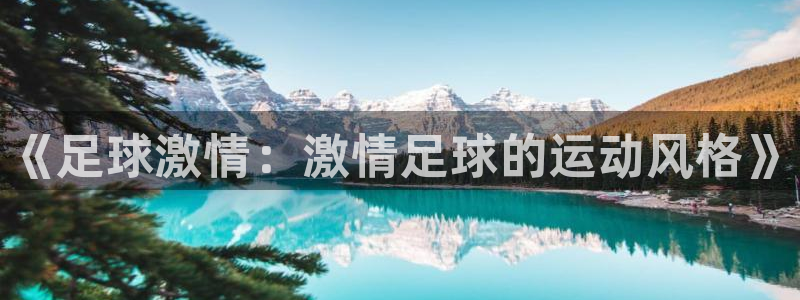 欧亿体育官方正版app集团E.ON：《足球激情：激情