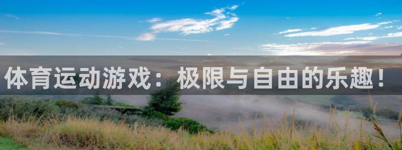 欧亿体育官方正版app集团官网首页：体育运动游戏：极