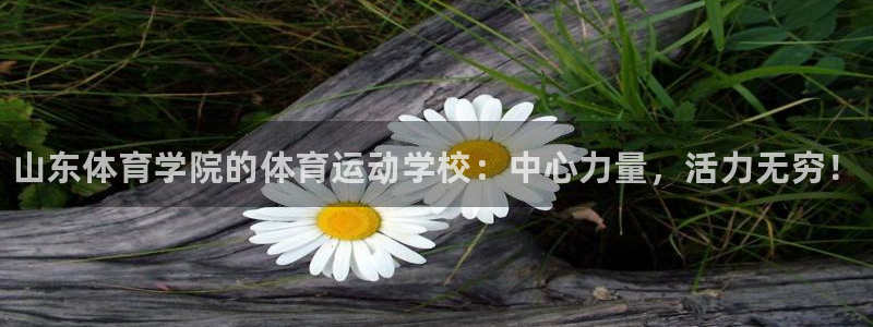 oety欧亿体育官网下载平台是正规平台吗：山东体育学