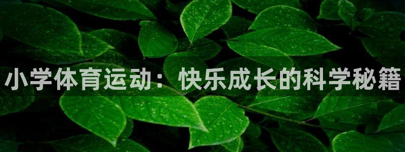 oety欧亿体育官网下载招商电话号码：小学体育运动：