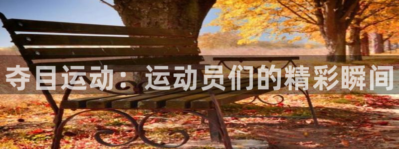 oety欧亿体育官网下载平台是正规平台吗：夺目运动：运动员们