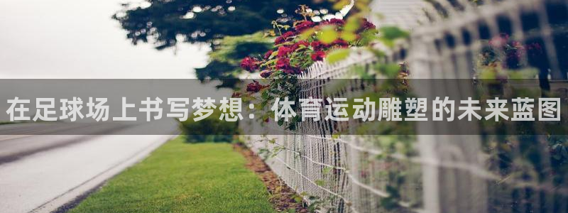 欧亿体育官方正版app五金厂：在足球场上书写梦想：体育运动雕