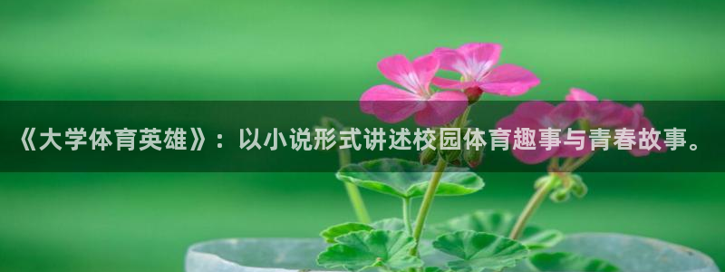 欧亿体育官方正版app娱乐下载：《大学体育英雄》：以小说形式