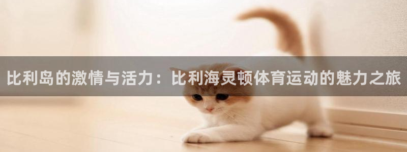 oety欧亿体育官网下载平台注册流程视频：比利岛的激