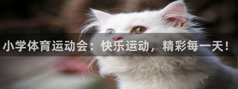 欧亿体育官方正版app集团官网首页