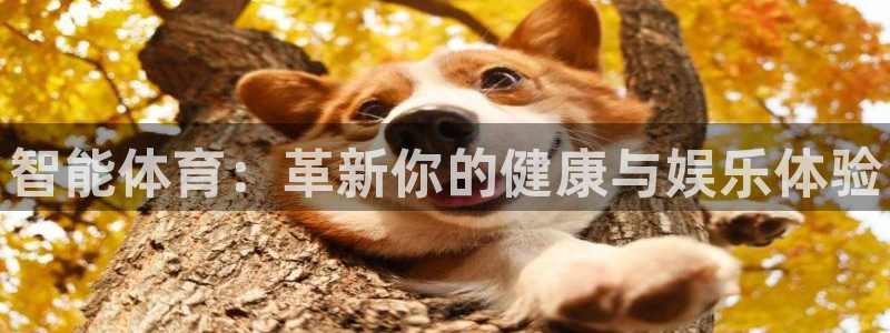 欧亿体育官方正版app娱乐