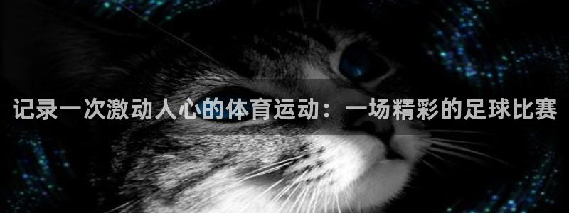 oety欧亿体育官网下载注册：记录一次激动人心的体育