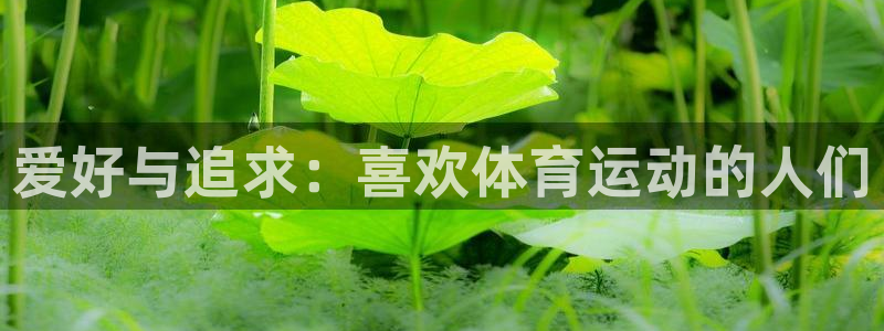 欧亿体育官方正版app娱乐网站：爱好与追求：喜欢体育运动的人