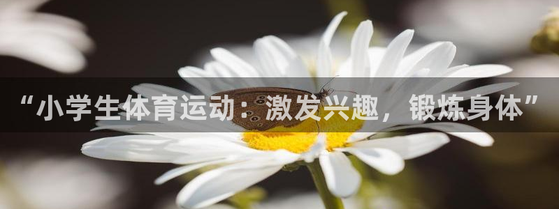 欧亿体育官方正版app神州：“小学生体育运动：激发兴趣，锻炼