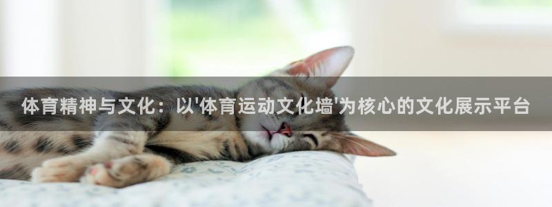 欧亿体育官方集团官网：体育精神与文化：以\'体育运动文化墙\