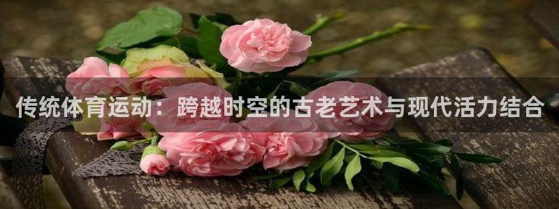 欧亿体育官方正版app集团官网网址：传统体育运动：跨越时空的
