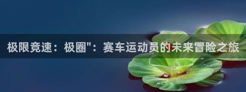 欧亿体育官方正版app娱乐代理怎么样：极限竞速：极圈\