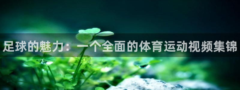 海南oety欧亿体育官网下载发展怎么样：足球的魅力：一个全面