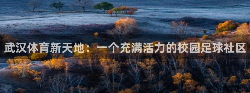 欧亿体育官方正版app官方