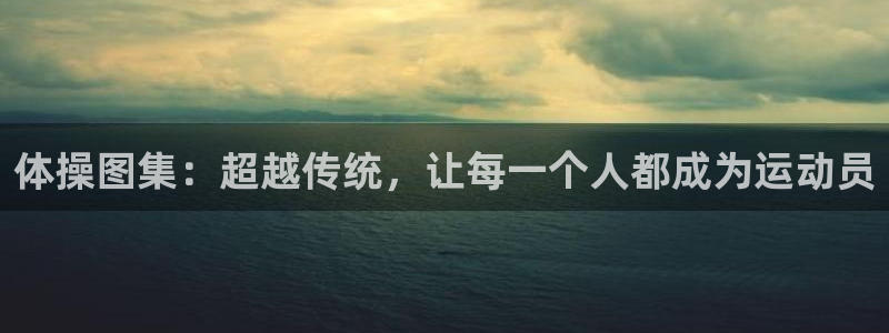 oety欧亿体育官网下载招商：体操图集：超越传统，让每一个人