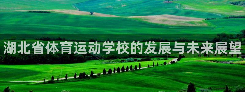 海南oety欧亿体育官网下载发展怎么样